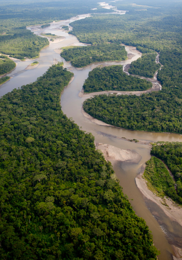 rivier, kronkelende rivier, moerasgebied, natuur, boomrijk landschap
