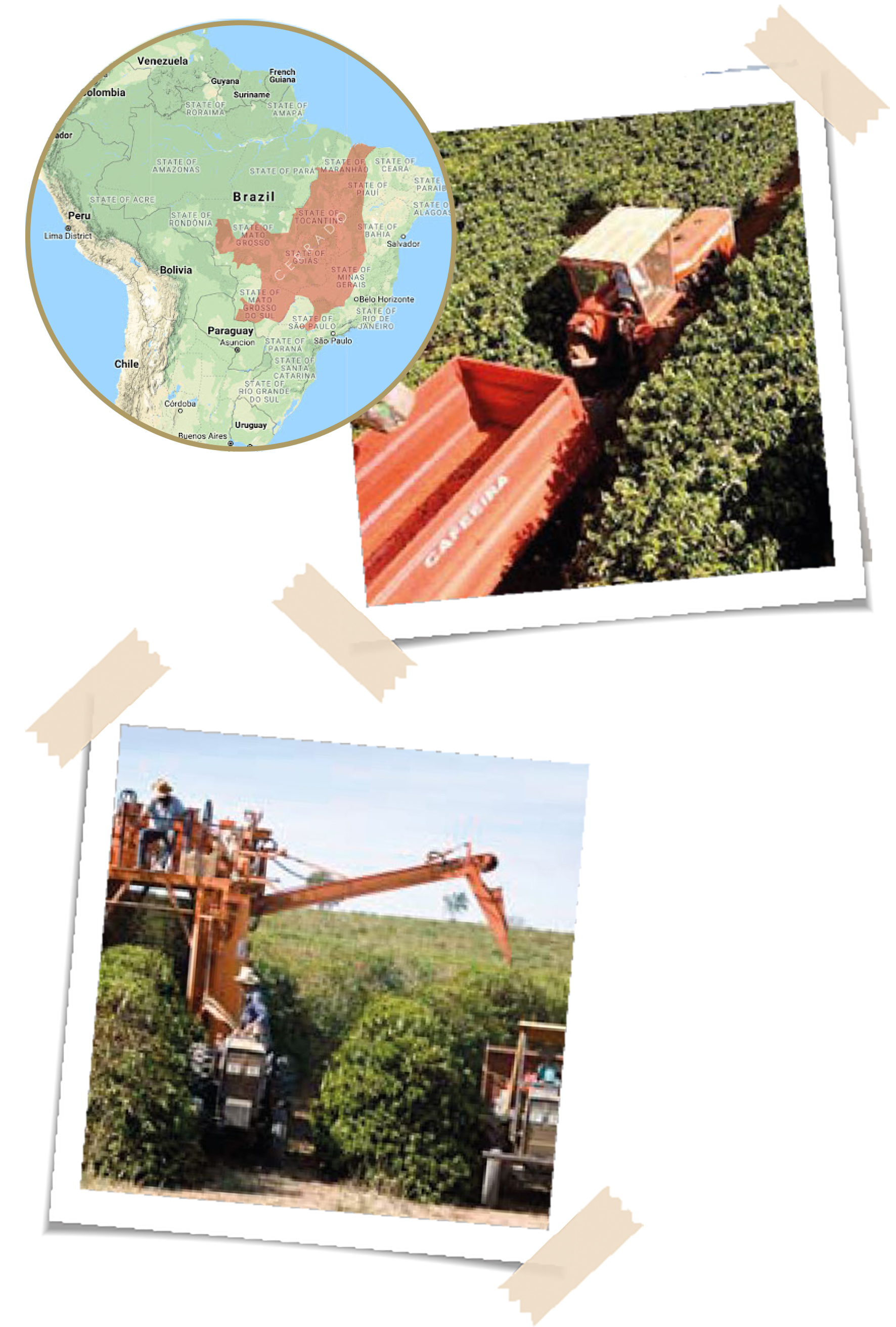 Bodem, Landbouw, Platteland, Natuur, Buitenshuis