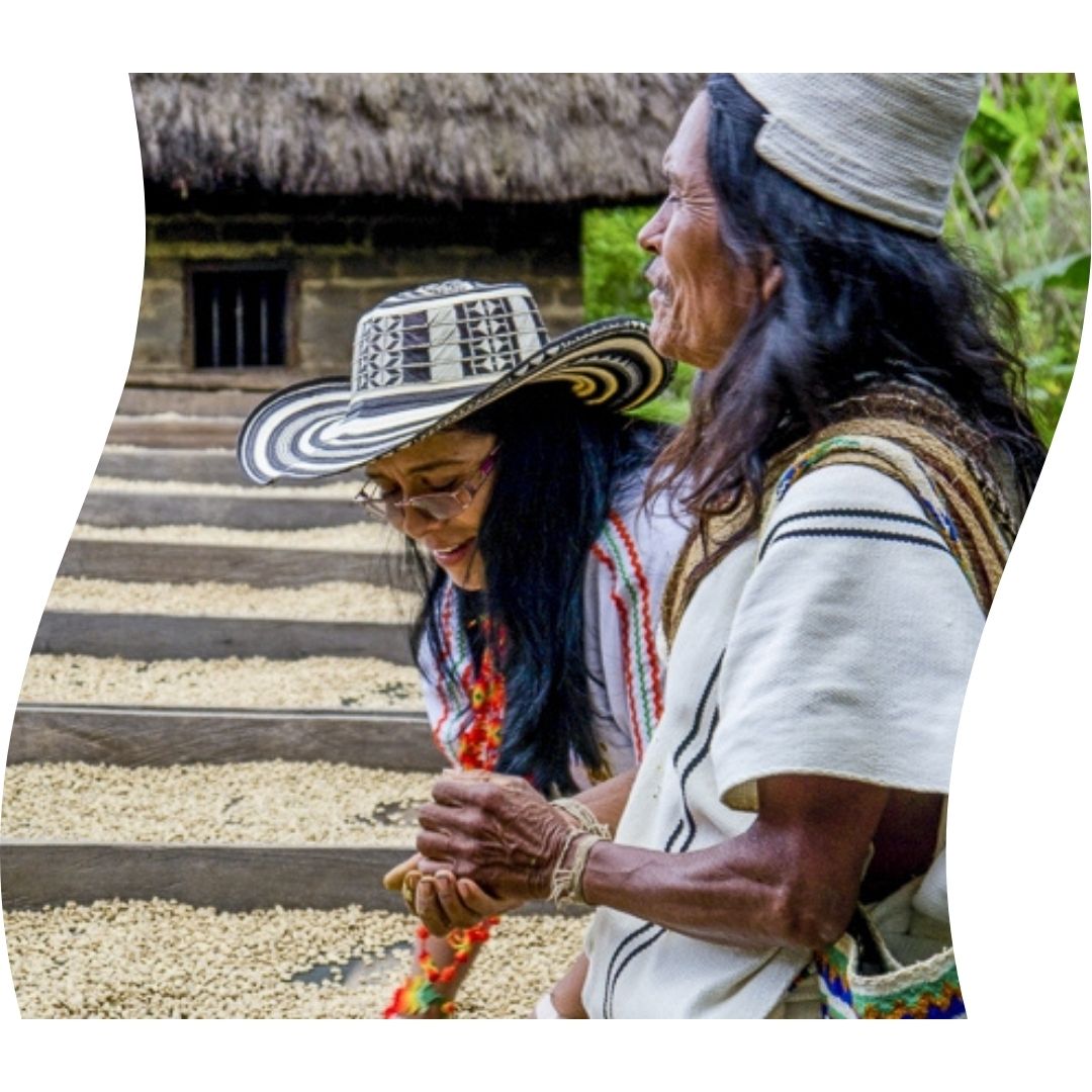 Volwassene, Vrouwelijk, Persoon, Vrouw